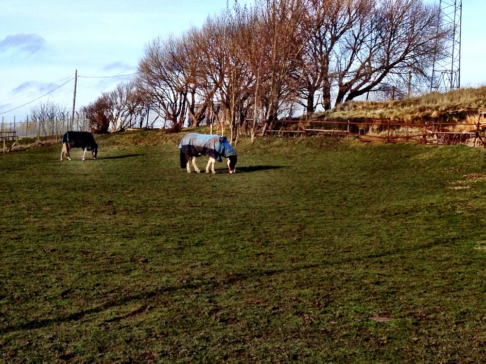 East Quarry Weston